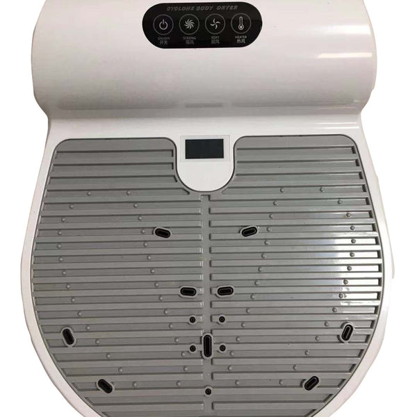 Hair Dryer Negative Ion Home Bathroom Body Dryer