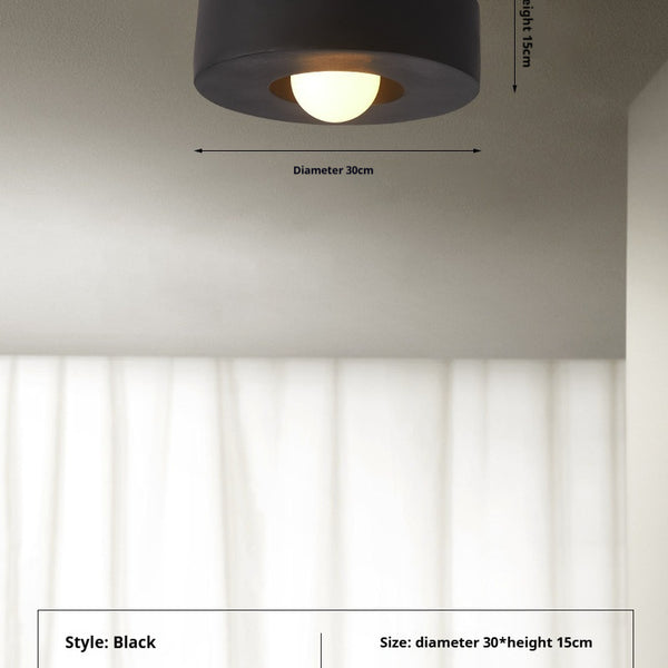 Nordic Minimalist Ceiling Mounted Personalized Lighting Fixtures