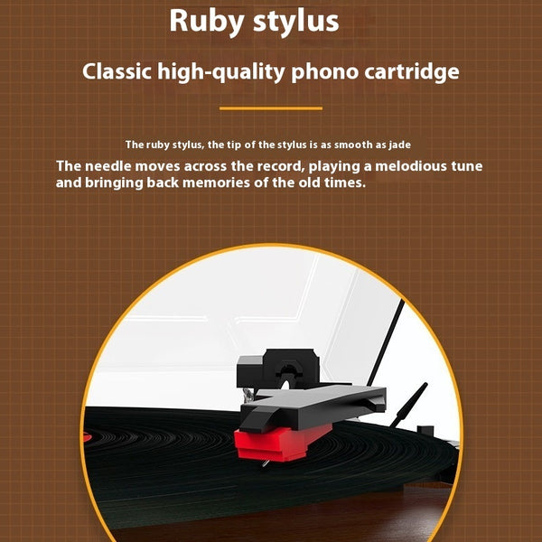 Vinyl Record Player Retro Phonograph