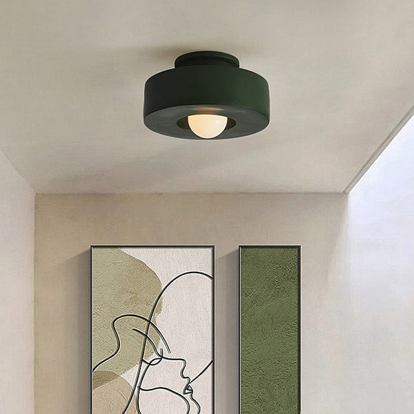 Nordic Minimalist Ceiling Mounted Personalized Lighting Fixtures