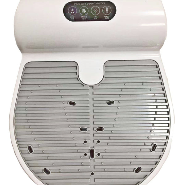 Hair Dryer Negative Ion Home Bathroom Body Dryer
